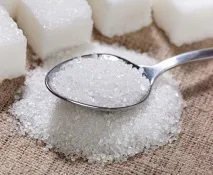 харчування