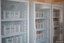 білоруси