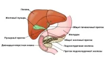 Показання до магнітно-резонансної томографії підшлункової залози підшлункової