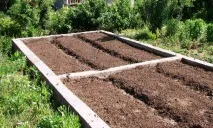 Помідори в теплиці для початківців вибір парника, як побудувати своїми руками вибір