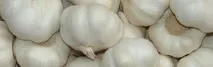 часнику