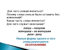 презентация