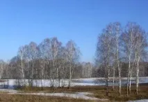 Природні зони Західного Сибіру та його характеристики природні