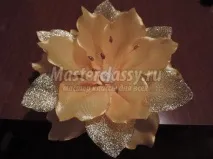 лілія