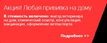 Щеплення собакам, схема вакцинація собак вдома графік, Вет Імунітет схема