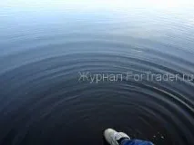 трейдером