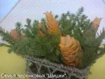 конкурс