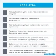 кора