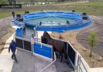 Робота коня його