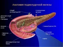 Рак головки підшлункової залози залози