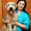 Розведення собак як наука та мистецтво мистецтво