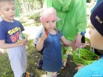 Розвага «Квітка-семиквітка» «Квітка-семиквітка»