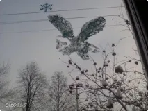 малюнки