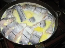 риба