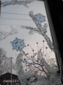 гілки ялинки