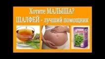 зачаття