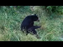 болота