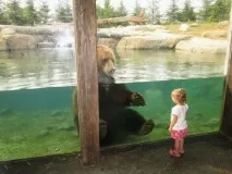 болота