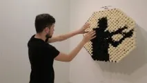 Собаки, Креативні фотографії фотографії