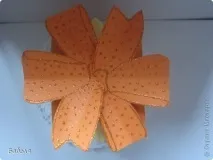 країна
