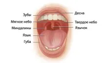 Спрей від хропіння Сайленс склад та показання до застосування засобу сайленс