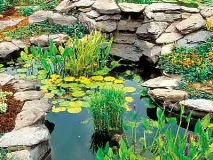 Створюємо маленький ставок із водоспадом – прикраса вашого саду маленький