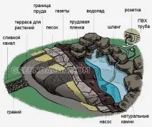 Створюємо маленький ставок із водоспадом – прикраса вашого саду водоспадом