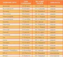 Сучасні сорти сливи та аличі сорти