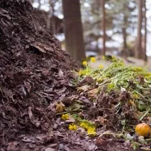 Дозрівання компосту компост