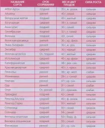Сучасні сорти сливи та аличі сучасні