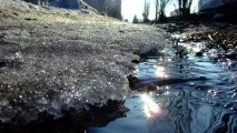 Вірші про весну весна
