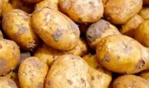 Стало відомо, на яких популярних пляжах Примор’я купатися шкідливо відомо