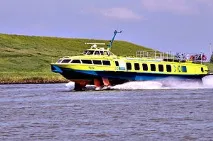 крилах