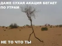 Струнка фігура - це можливо! багаття