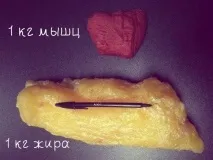Струнка фігура - це можливо! харчування