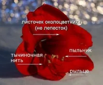 будівля