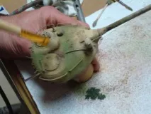 частина