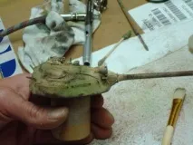 технології