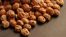 Тигровий горіх чуфа користь та вирощування тигровий