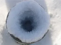 шкаралупа