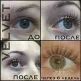 Вельвет для вій, Velvet, Навчання брів