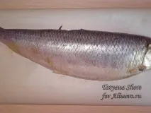 Ваші улюблені рецепти ваші