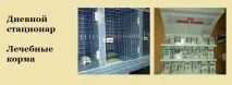 Ветеринарна клініка - Сімба - у Нижньому Тагілі нижньому