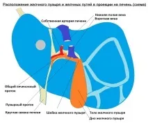яної