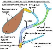 кт-діагностика