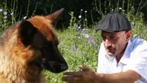 У Мережі з’явився тизер до фільму Тольятті про собаку Костя мережі