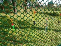 У Сомівці на Святі картоплі картоплі