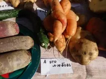 У Сомівці на Святі картоплі було