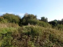 У Сомівці на Святі картоплі сомівці