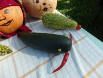 У Сомівці на Святі картоплі картоплі